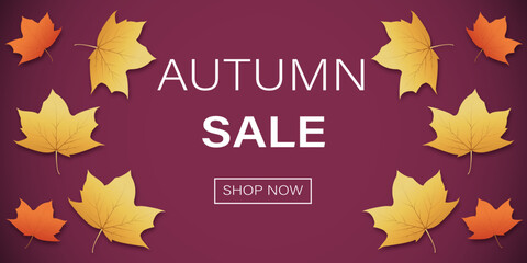 Autumn sale banner background with leaves