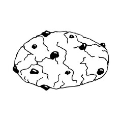 Linear sketch of oatmeal cookies with chocolate pieces. Vector graphics.