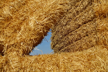 Bottes de pailles avec trouée sur le ciel bleu.