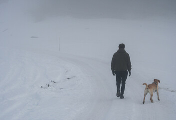A man and dog from behind walking in snow
