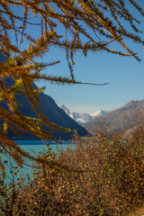Herbst in den schweizer Bergen