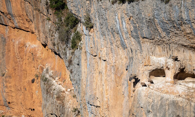 rocky outcrops and caves that are home to Spanish Griffon vultures, Eurasion griffons (Gyps fulvus) in summer sunshine