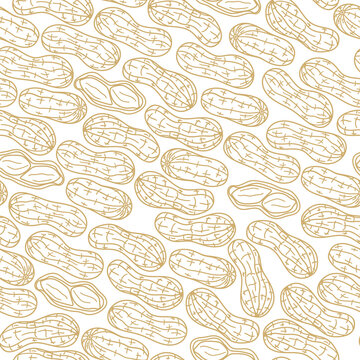Seamless pattern with hand drawn peanuts