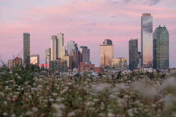 Obraz premium city skyline at sunset