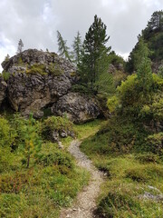 Fototapeta na wymiar Beautiful small hiking trail in the italian dolomites, gardena valley, south tyrol, italy. nature and outdoor concept.