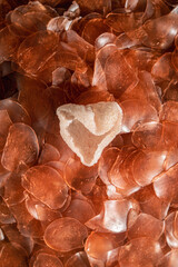 Food photo Chinese shrimp chips