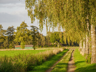Spätsommer im westlichen Münsterland