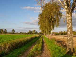 Spätsommer im westlichen Münsterland