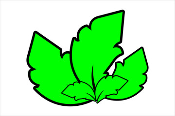 green grass plant vector design. looks fresh and unique