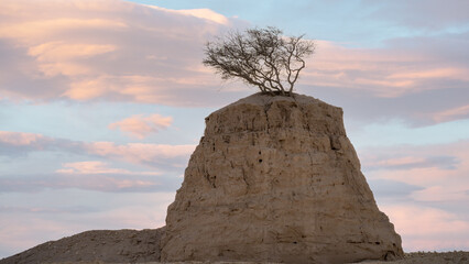Limestone rock formations at the Umm Bab, Qatar.