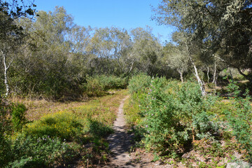Chumash Park, Pismo Beach, San Luis Obispo County