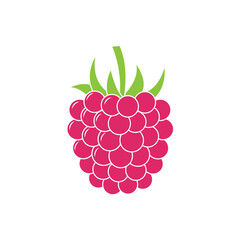 Raspberry vector, isolated on white background. Color illustration of red ripe berry. Raspberry icon.