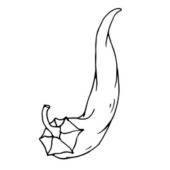 Botanical line sketch of hot mexican chili pepper.Vector graphic.