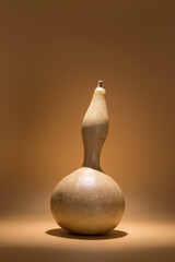 dried gourd upright, warm atmosphere, static figure
