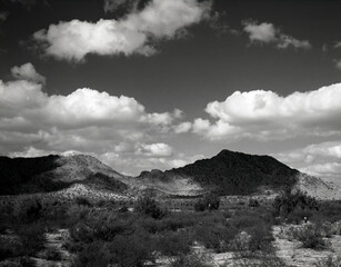 Sonora Desert Arizona