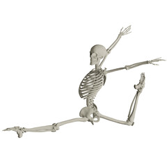 skeleton posing 3d render illustration