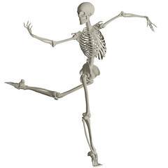 skeleton posing 3d render illustration