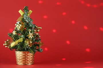 Close-up Christmas tree, Christmas decorations 