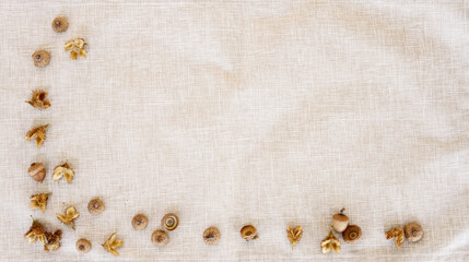 Fall banner of beech seed cases and acorns; bottom and side border over a rustic woven cloth...