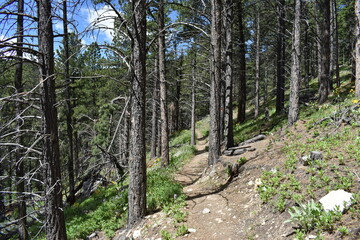 Nature