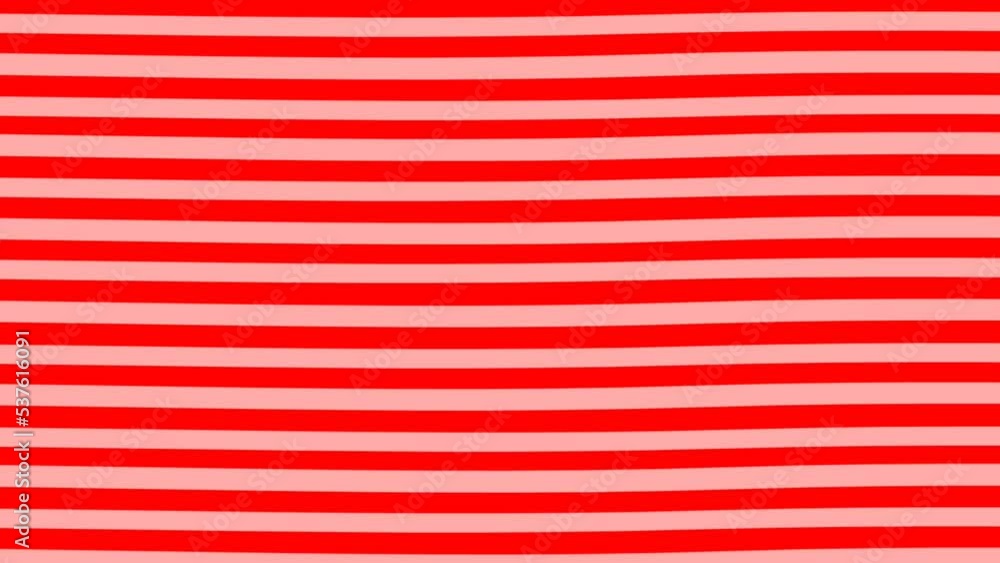 Wall mural animated red and white horizontal line seamless loop background. abstract simple line moving stripe 