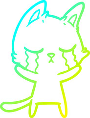 cold gradient line drawing of a crying cartoon cat