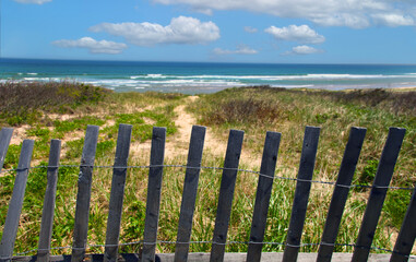 Snow Fence and Dunes at Coast Guard Beach at the Cape Cod National Seashore