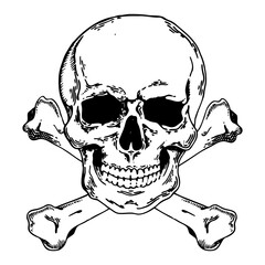 Jolly Roger engraving style PNG illustration with transparent background