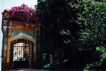 Fototapeta premium Garden gate