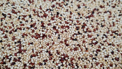 Mixed Quinoa seeds full frame macro background