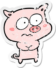 distressed sticker of a cartoon nervous pig