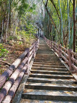 Long stairway through a bamboo forest at the start of a walking track through Phupha (or Phu Pha) Lom Forest park, province of Loei, Thailand