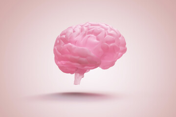 cerveau humain - illustration 3D