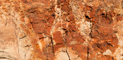 Sedimentary rocks with a high content of iron oxide. Red soil, loam. The texture of the soil.