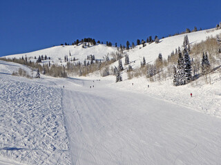 Fototapeta na wymiar Powder Mountain Ski resort in Utah