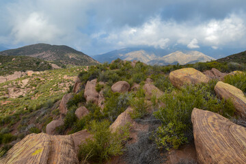 Alder Creek Trail, Sespe Wilderness, Los Padres National Forest