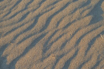 Fototapeta na wymiar Winding shapes and lines on a sandy beach