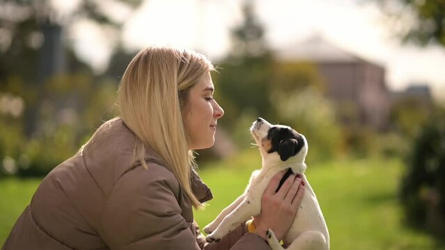 A young woman plays with a dog and kisses him. A walk with a four-legged friend. Pets that need attention and care