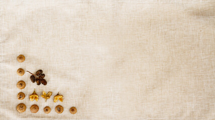 Fall banner of alder cones, acorn tops and beech nut; corner border over a rustic woven cloth...