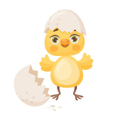 Cartoon baby chicken with eggshell.  Vector illustration on a white background.