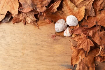 Fototapete Toilette A wooden background decorated with dry autumn leaves and three small white shells  © Andres Serna