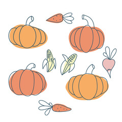 Set of pumpkins and other vegetables in doodle style. Autumn leaves, corn, carrots. Pumpkin for decoration. Autumn vegetables. Vector graphics isolated on white background.