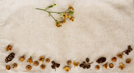 Fall banner of dried roses, alder cones, acorn tops and beech nut; bottom border over a rustic...