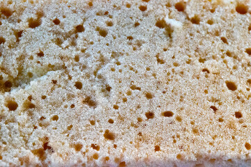 closeup yellow sponge background texture 