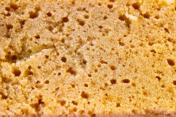 closeup yellow sponge background texture 