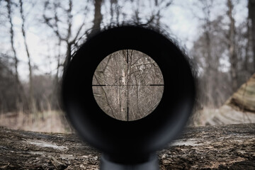 Sniper gun scope view. Hunting in the forest.
