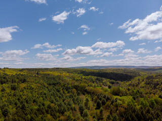 Fototapeta na wymiar Forest in mountains from height, with clouds on background sky