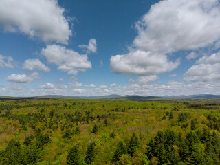 Fototapeta premium Forest from height in mountains on background sky with clouds