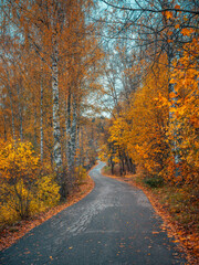 Russia. Ples. The city in the Ivanovo region on the Volga river in the rays of the morning autumn sun through the clouds and bell tower of the Resurrection Church