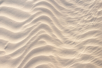 sand beige texture  in a sunny day - texture